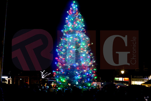 GLOSSOP LIGHTS SWITCH ON 2024 (64).JPG