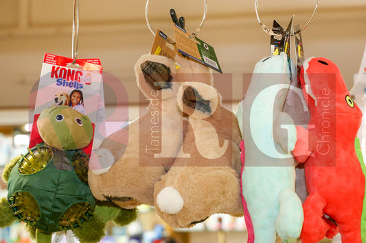 HYDE MARKET 2025 (52).JPG