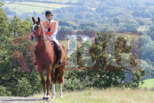 MOTTRAM SHOW  2025 (65).JPG