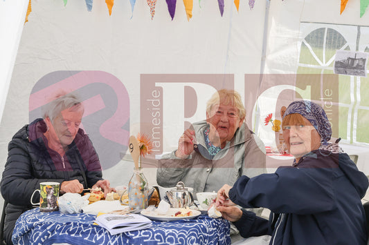 TINTWISTLE GARDENERS SHOW (47).JPG