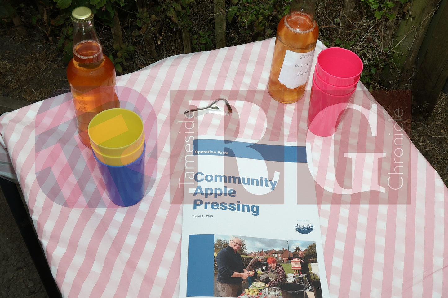 WATERLOO PARK BRITAIN IN BLOOM 2025 (45).JPG