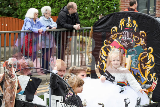 STALYBRIDGE CARNIVAL 2025 (93).JPG