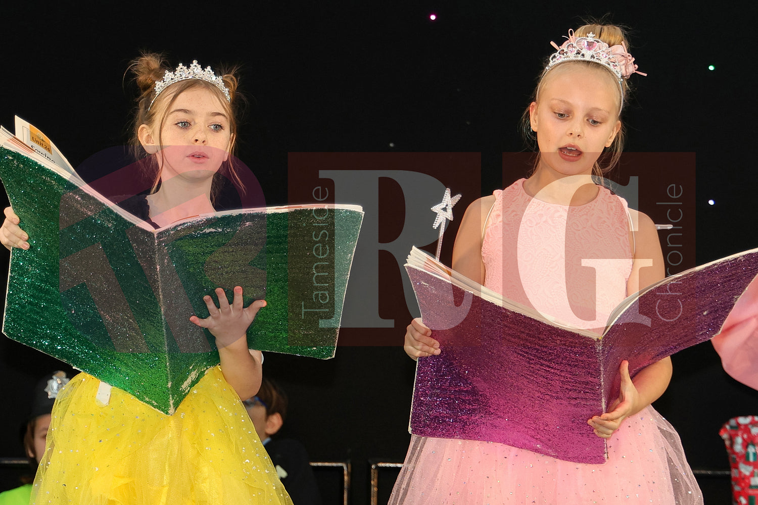 STALYBRIDGE CIVIC HALL SCHOOL PANTOMIME (75).JPG