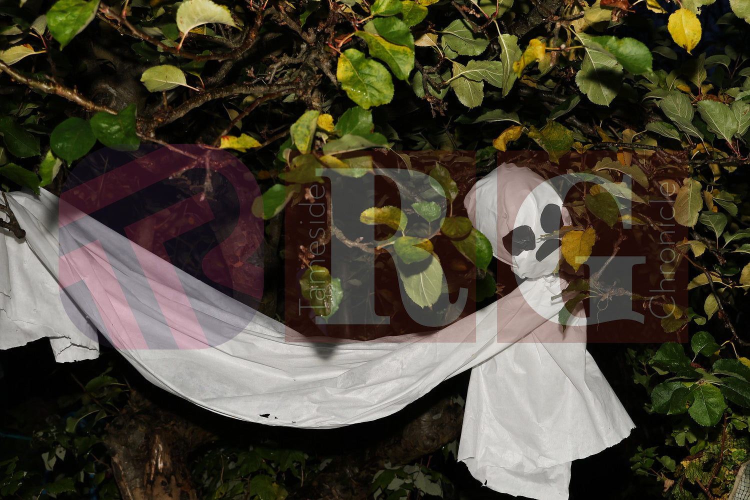 HALLOWEEN PARTY AT BLOOM HYDE (29).JPG