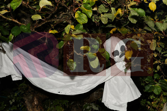 HALLOWEEN PARTY AT BLOOM HYDE (29).JPG