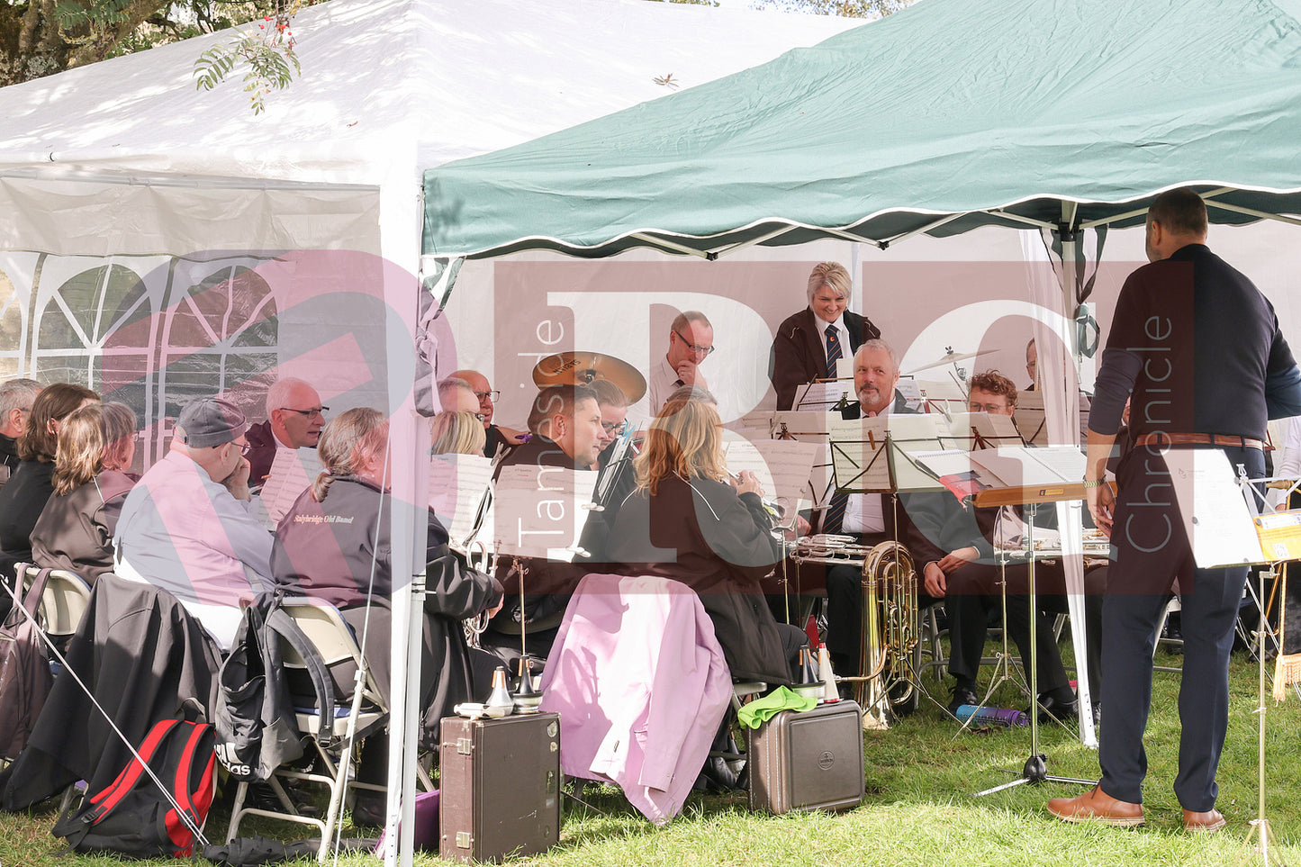 TINTWISTLE GARDENERS SHOW (42).JPG