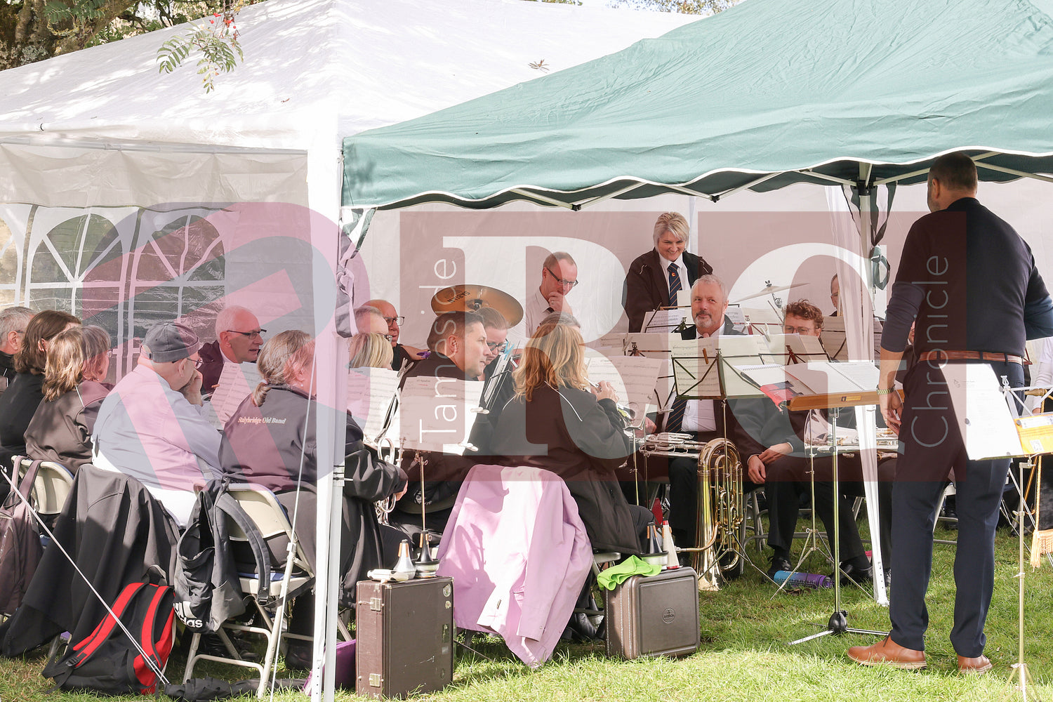 TINTWISTLE GARDENERS SHOW (42).JPG