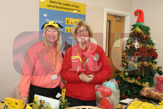 DOG TRUST DENTON XMAS (5).JPG