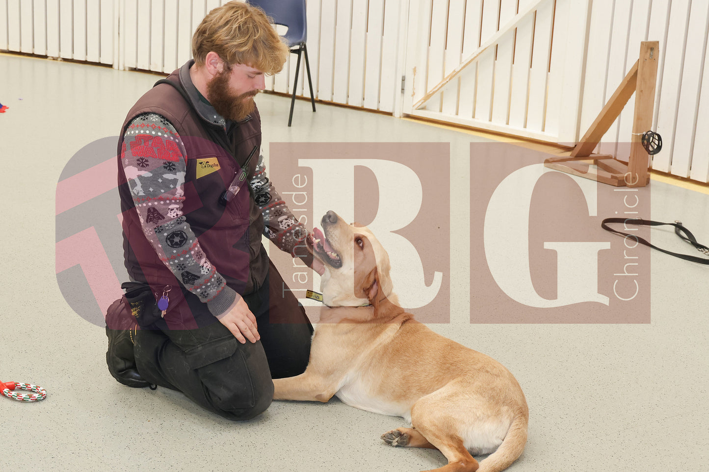 DOG TRUST DENTON JUMPER EVENT (16).JPG