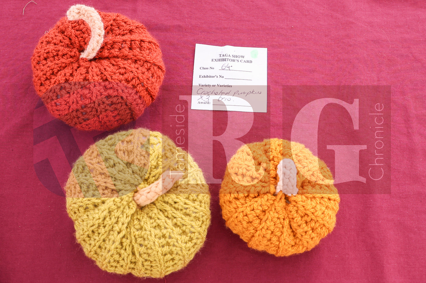 TINTWISTLE GARDENERS SHOW (66).JPG