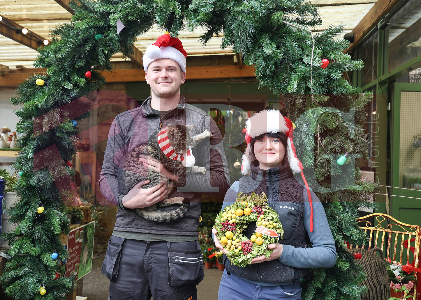 GLOSSOP SHOP XMAS WINDOWS 2024 (10).JPG