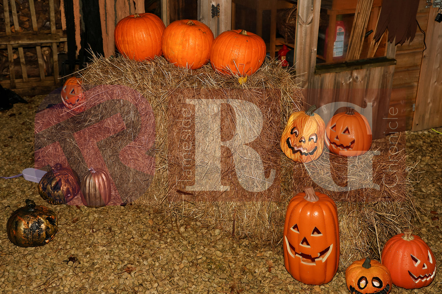 PIRATES OF THE HALLOWE'EN' HADFIELD (25).JPG