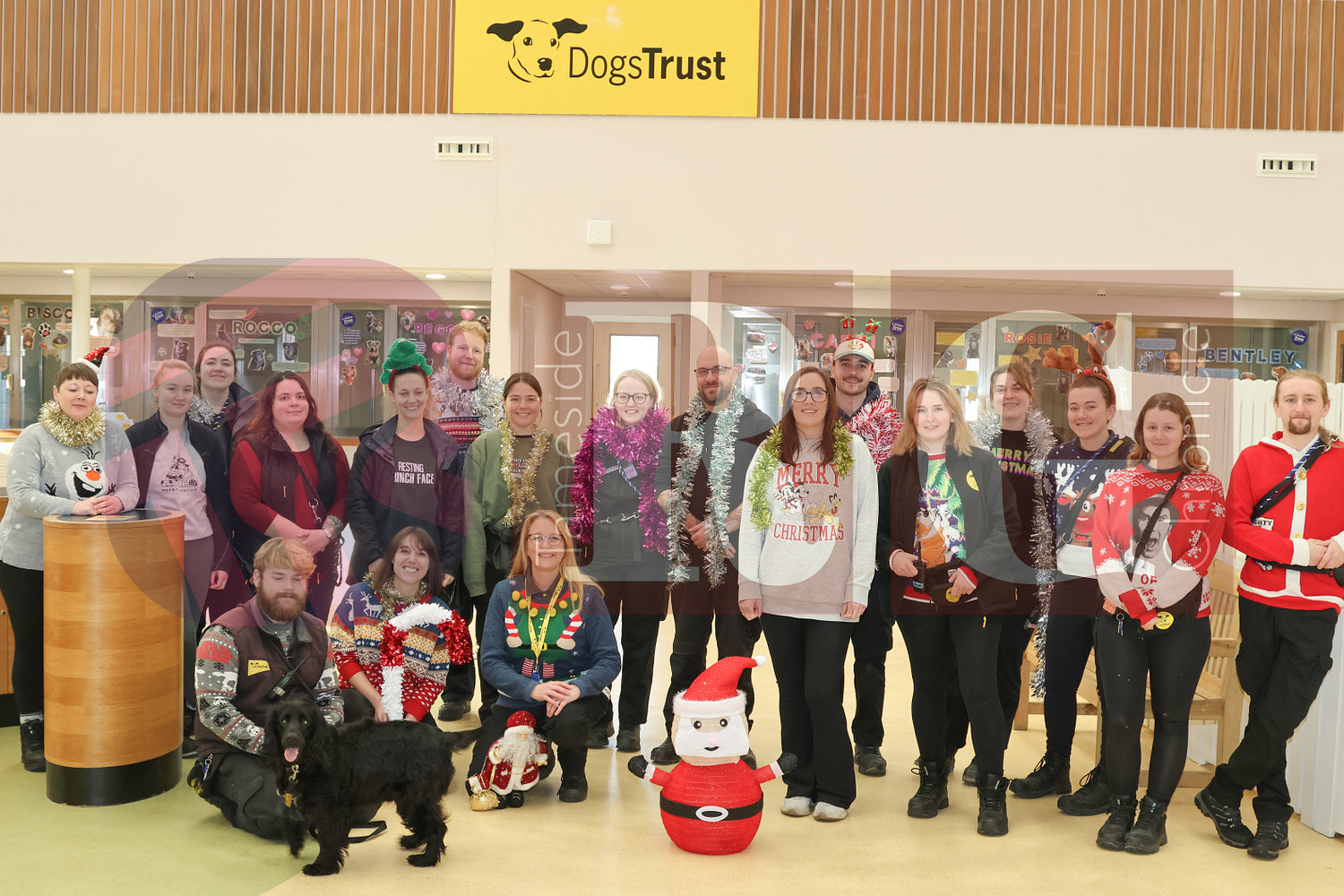 DOG TRUST DENTON JUMPER EVENT (20).JPG