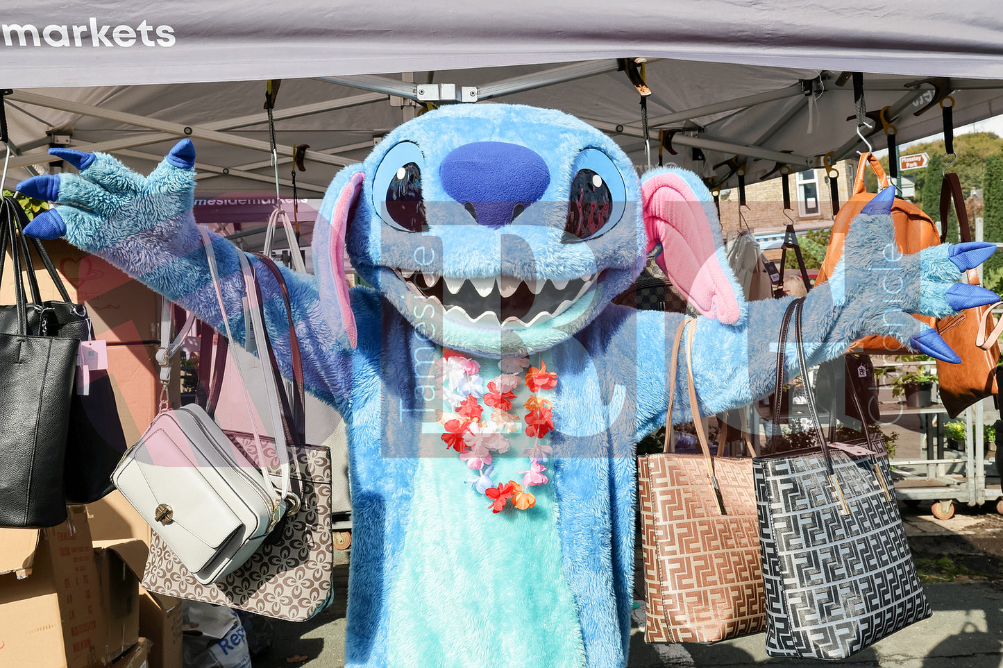 MOSSLEY FARMERS MARKET (143).JPG