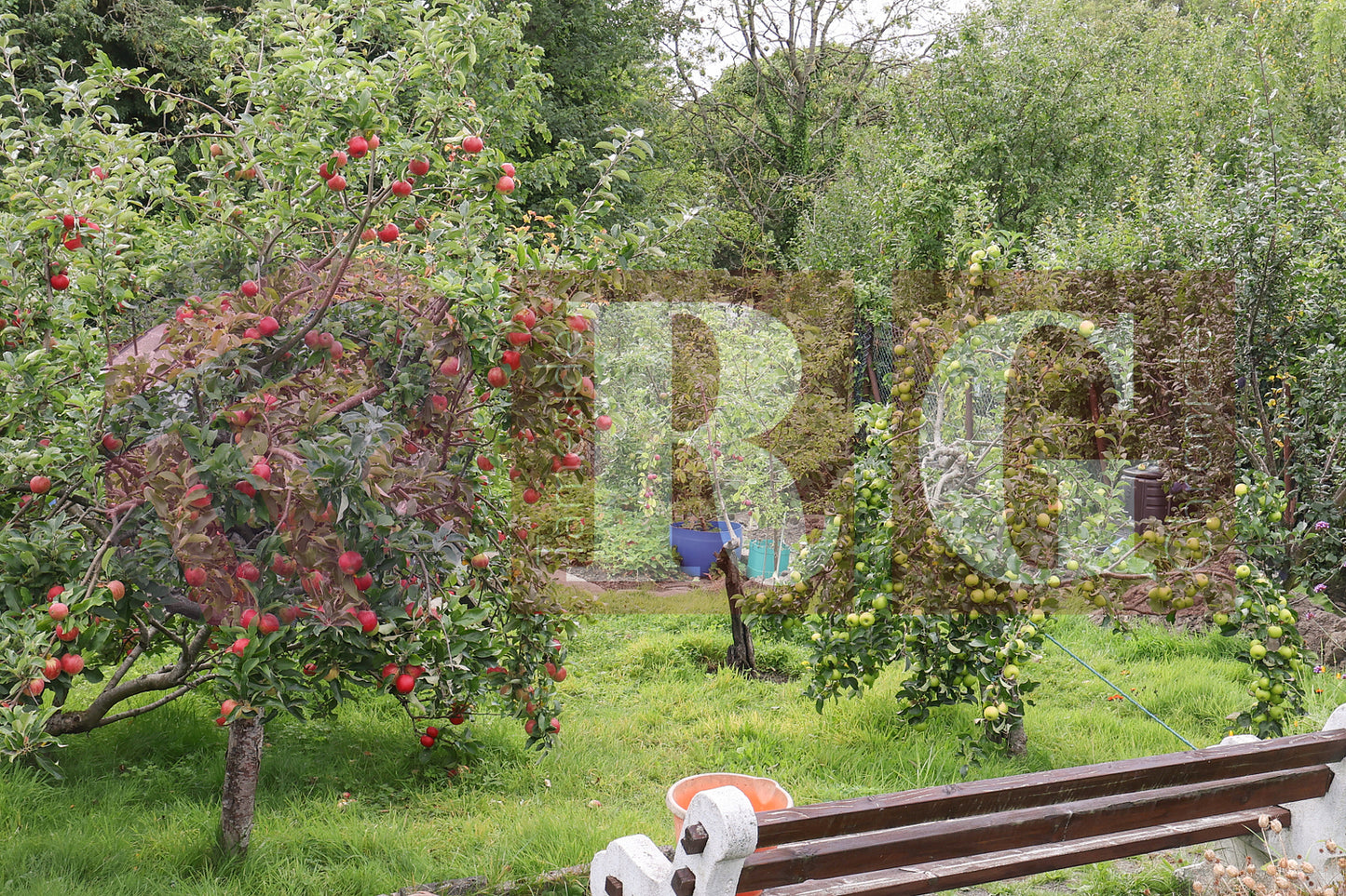 BLOOM FUN DAY HYDE (66).JPG