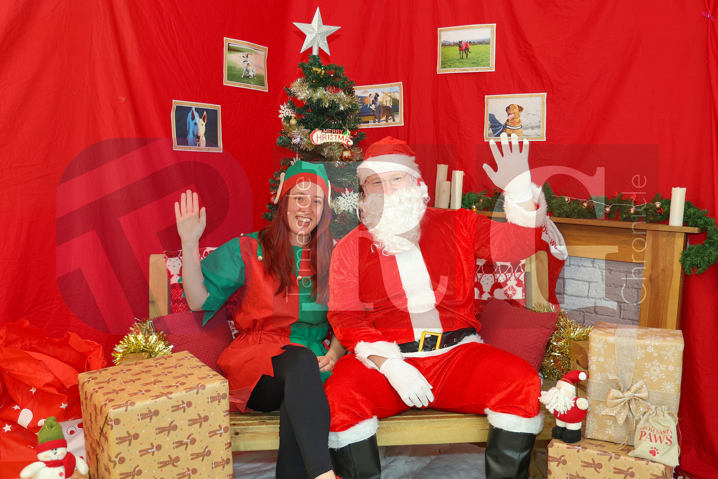 DOG TRUST DENTON XMAS (22).JPG