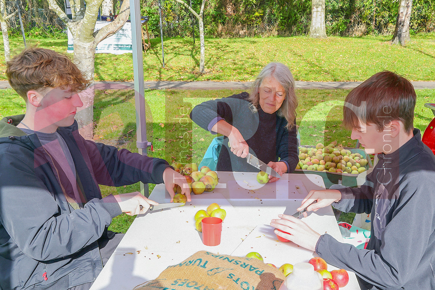 APPLE DAY VILLAGE PRIMARY GLOSSOP (8).JPG