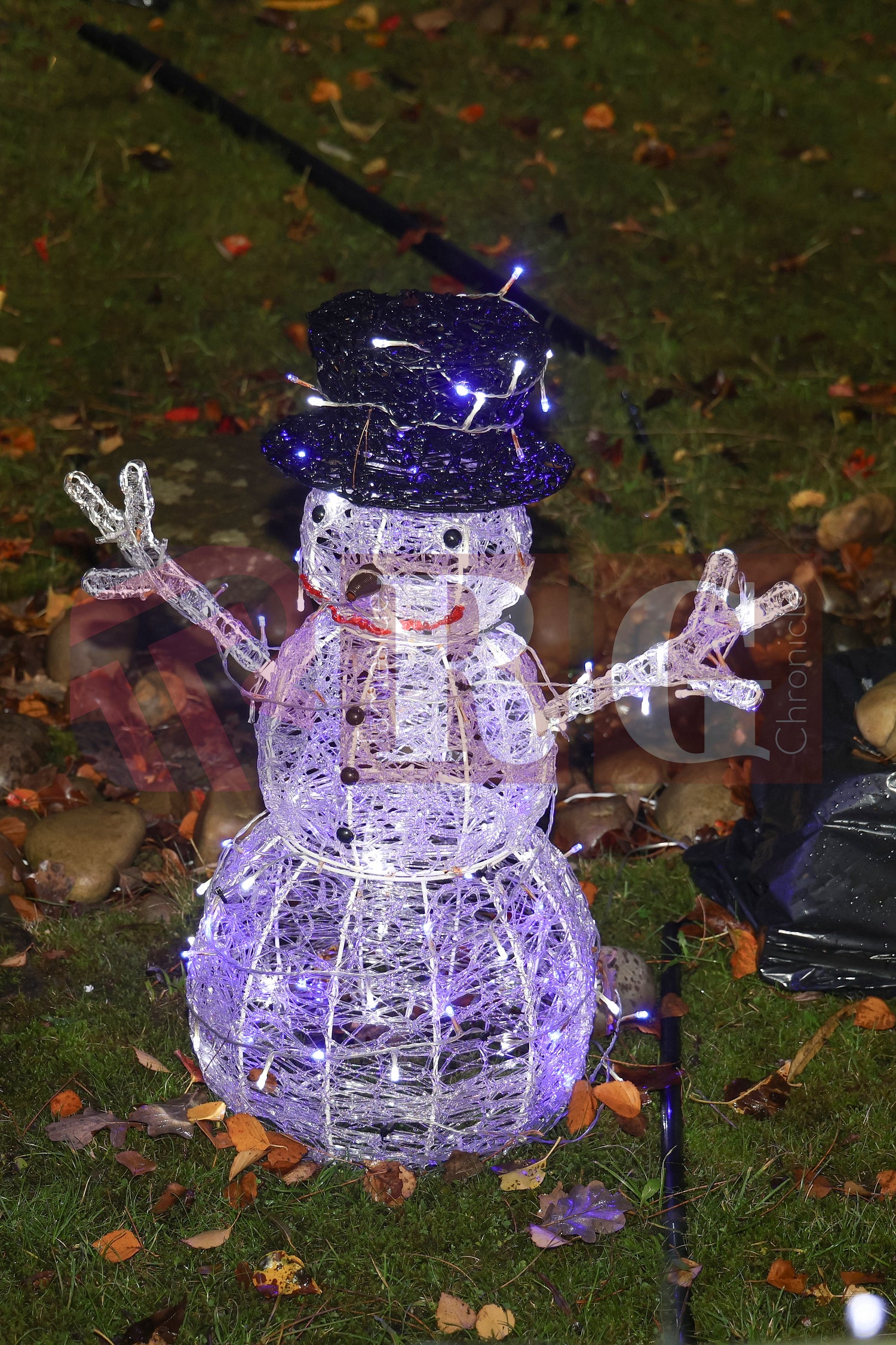 WILLOW WOOD LIGHTS 2024 (21).JPG