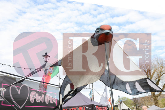 STALYBRIDGE STREET FEST 2026 (59).JPG