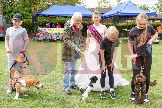 STALYBRIDGE SPRING SHOW (83).JPG