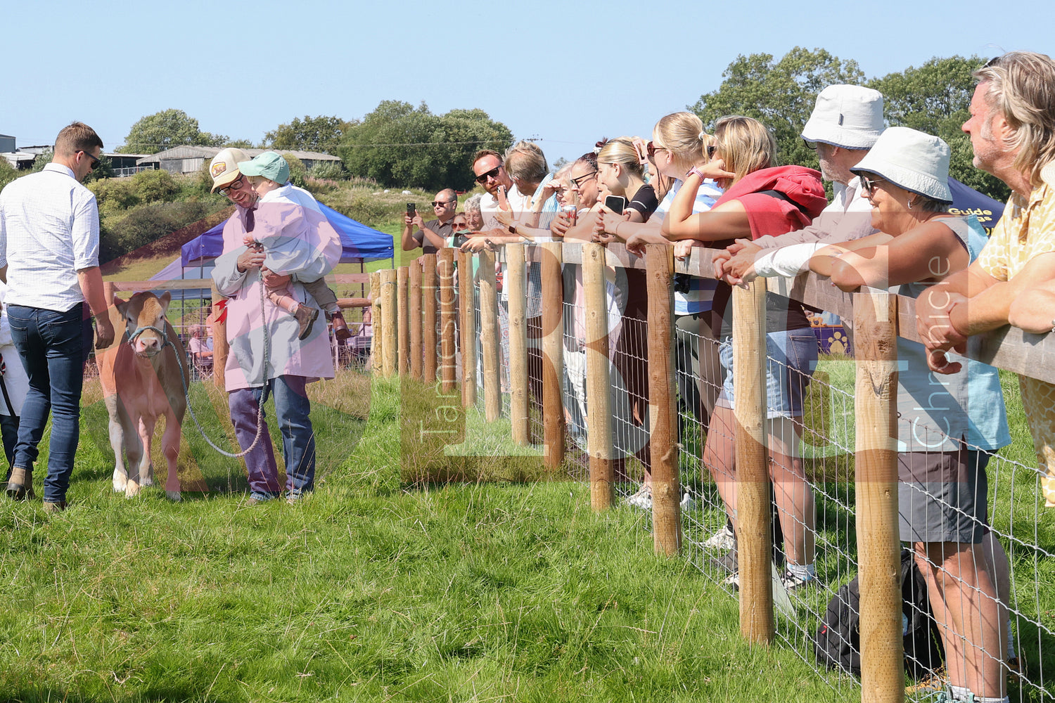 MOTTRAM SHOW  2025 (62).JPG