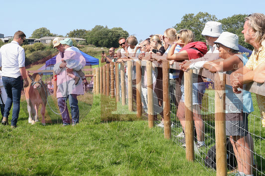 MOTTRAM SHOW  2025 (62).JPG