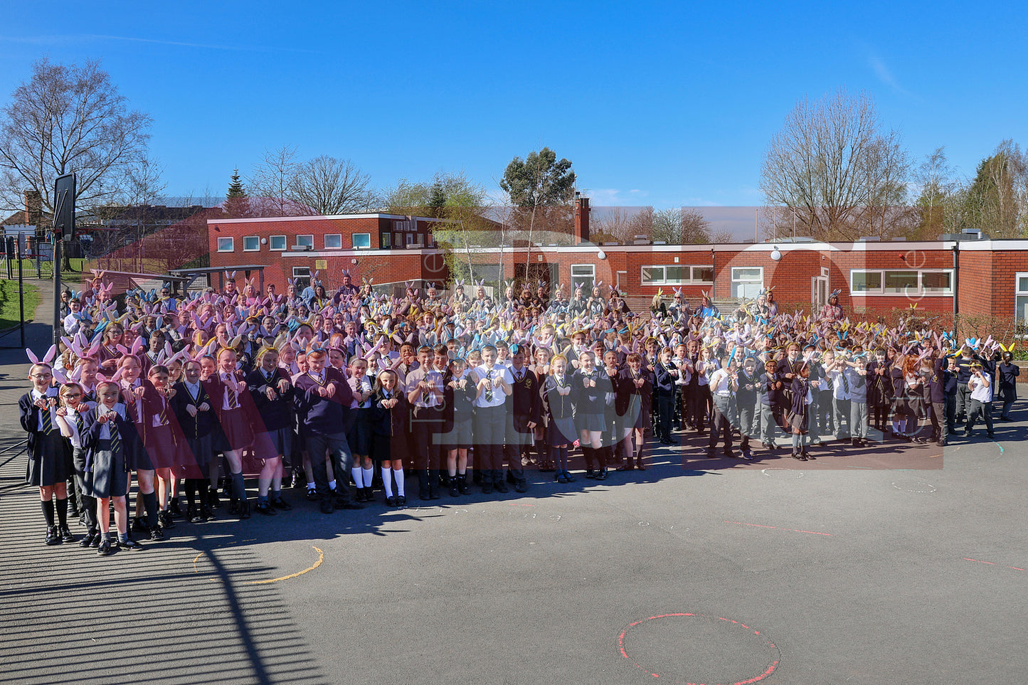 DOWSON PRIMARY BUNNY HOP WILLOW WOOD (4).JPG