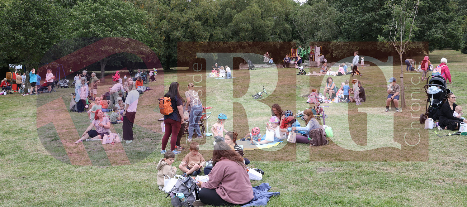 HADFIELD PICNIC IN THE PARK (95).JPG