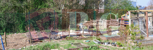 RIDGE HILL COMMUNITY GARDEN (42).JPG