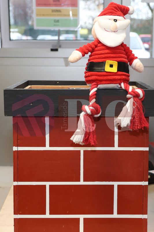 DOG TRUST DENTON XMAS (72).JPG