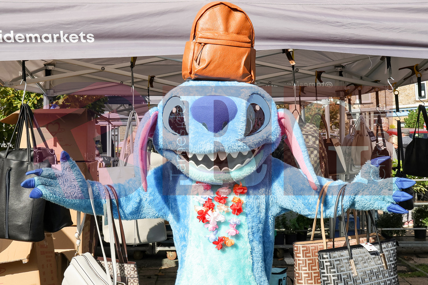 MOSSLEY FARMERS MARKET (144).JPG