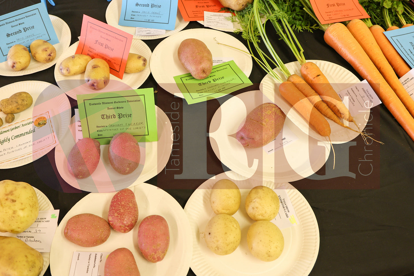 TINTWISTLE GARDENERS SHOW (25).JPG