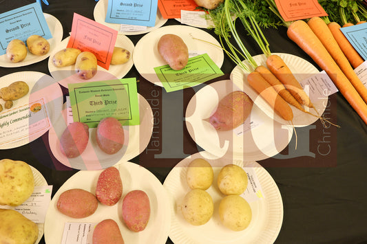 TINTWISTLE GARDENERS SHOW (25).JPG