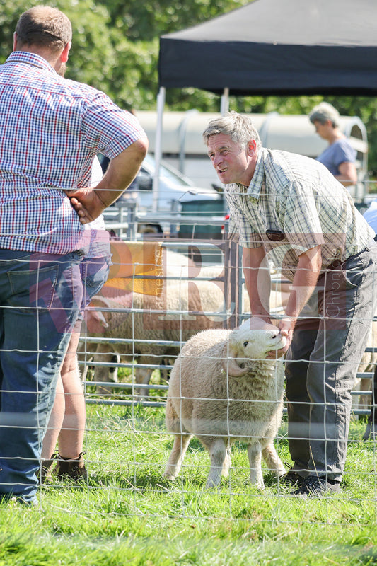 MOTTRAM SHOW  2025 (184).JPG