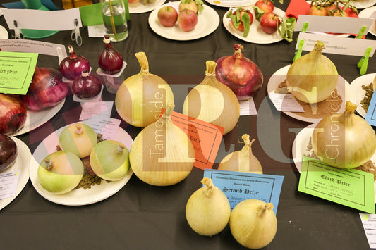 TINTWISTLE GARDENERS SHOW (27).JPG