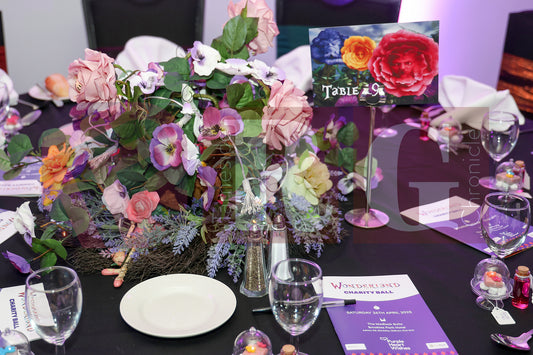 PURPLE HEART WISHES WONDERLAND BALL (28).JPG