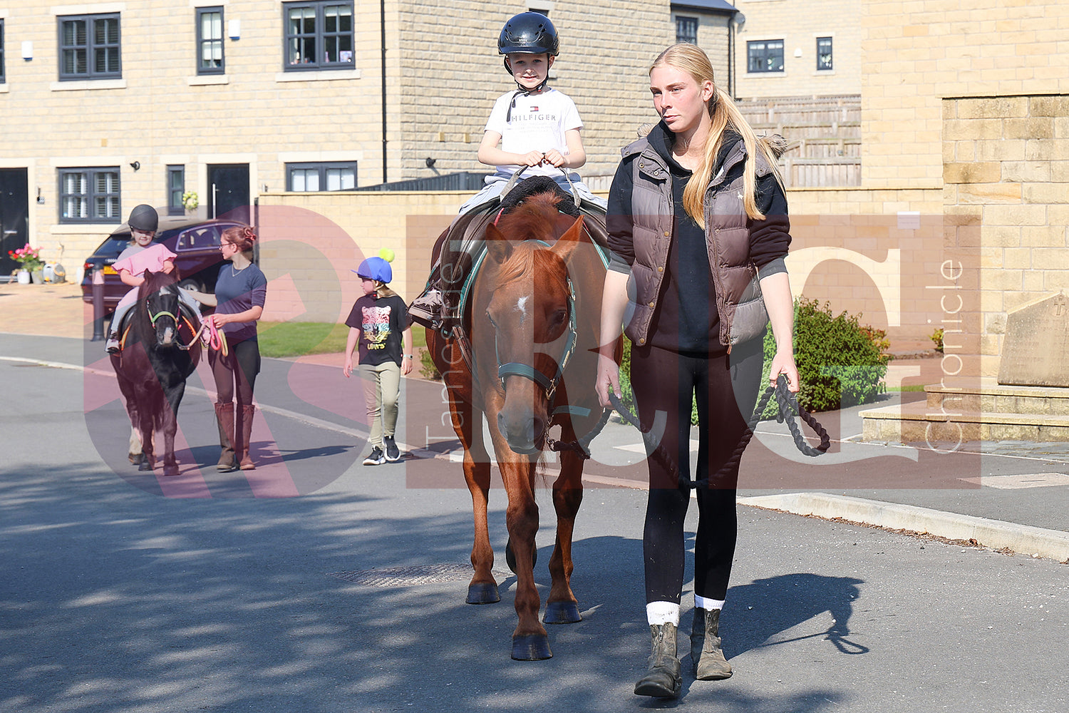 OLD GLOSSOP AUTUMN FETE 2024 (13).JPG