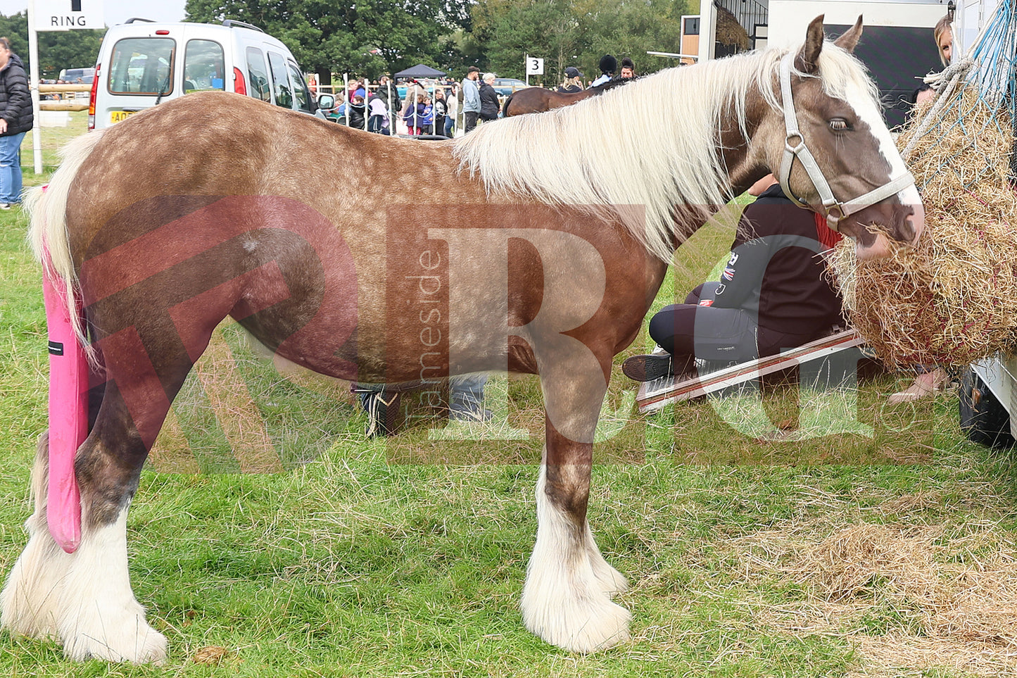 MOTTRAM SHOW 2024 (110).JPG