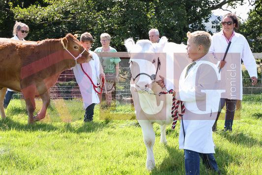 MOTTRAM SHOW  2025 (57).JPG
