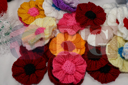 MOSSLEY TOWN TEAM AUTUMN FAIR (37).JPG