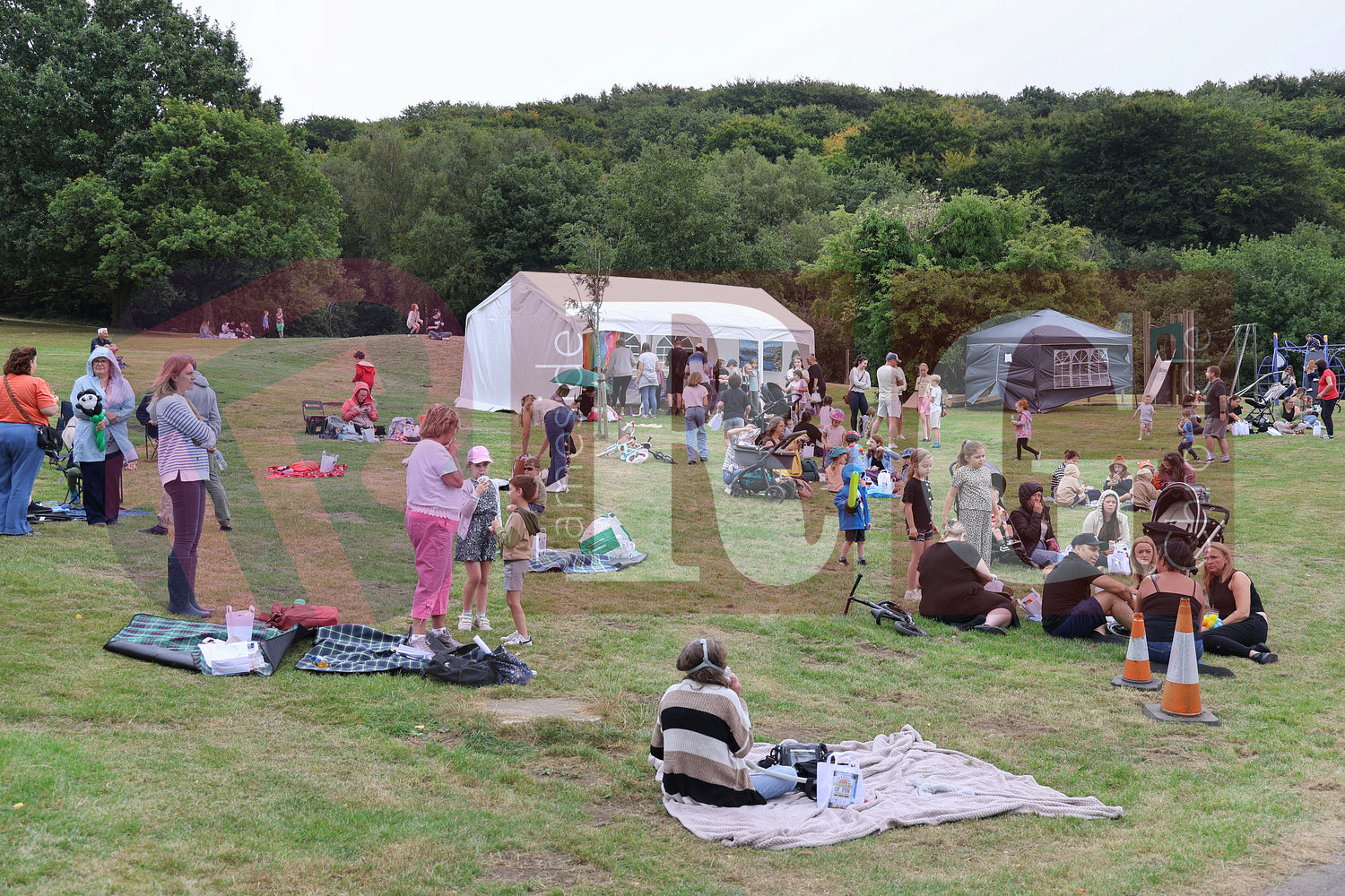 HADFIELD PICNIC IN THE PARK (102).JPG