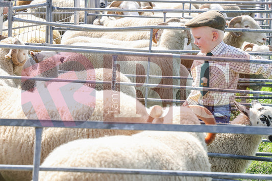 MOTTRAM SHOW  2025 (31).JPG