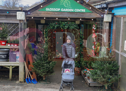 GLOSSOP SHOP XMAS WINDOWS 2024 (17).JPG
