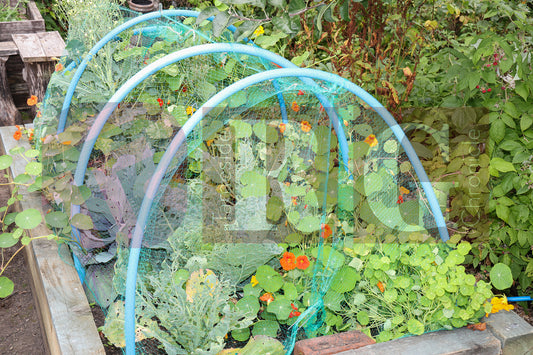 BLOOM FUN DAY HYDE (27).JPG