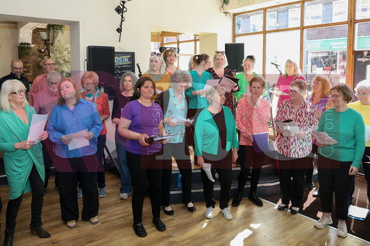 BRIDGE GOT TALENT AUDITIONS 2025 (8).JPG