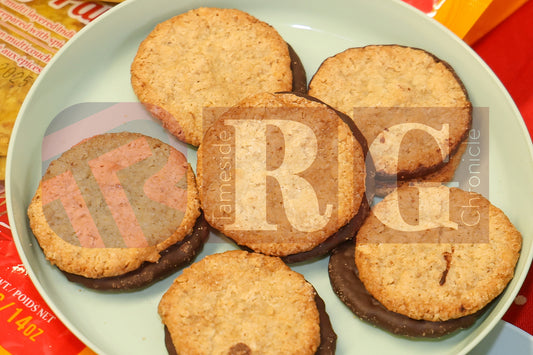 BIG COMMUNITY CULTURAL CELEBRATION RIDGE HILL (43).JPG