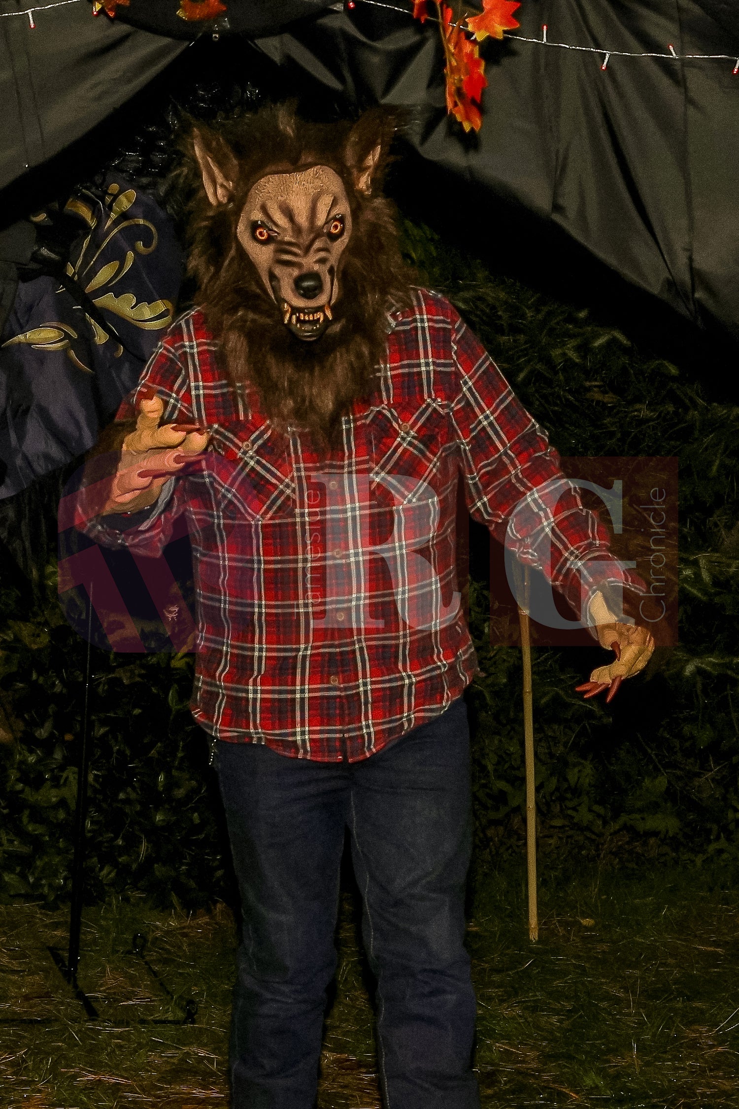 PIRATES OF THE HALLOWE'EN' HADFIELD (52).JPG