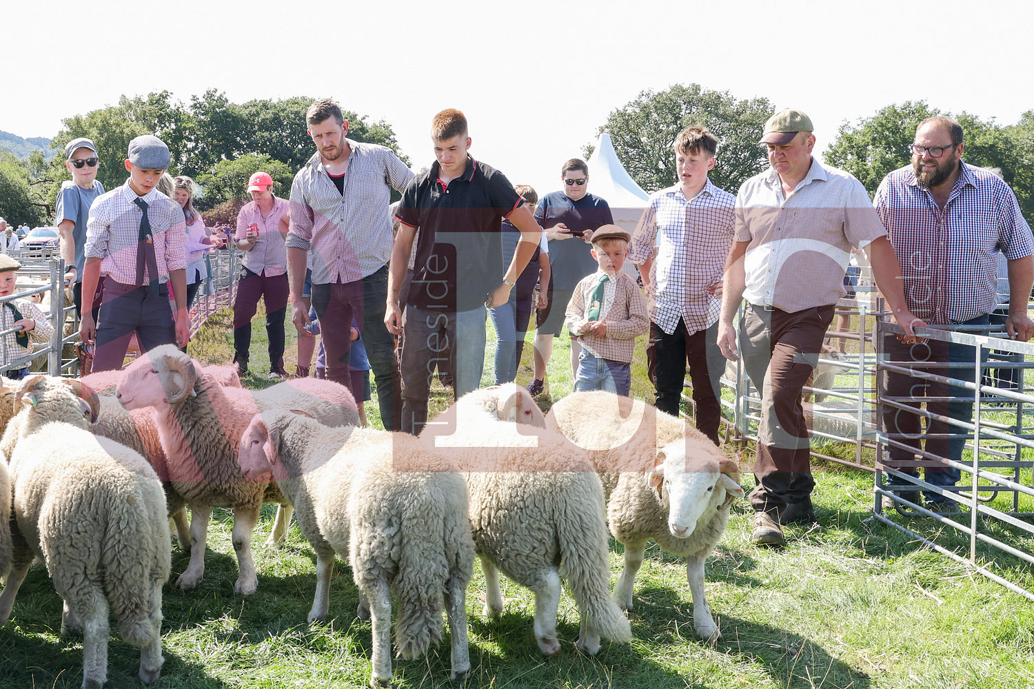 MOTTRAM SHOW  2025 (39).JPG