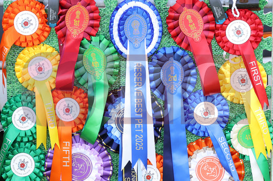 MOTTRAM SHOW  2025 (53).JPG