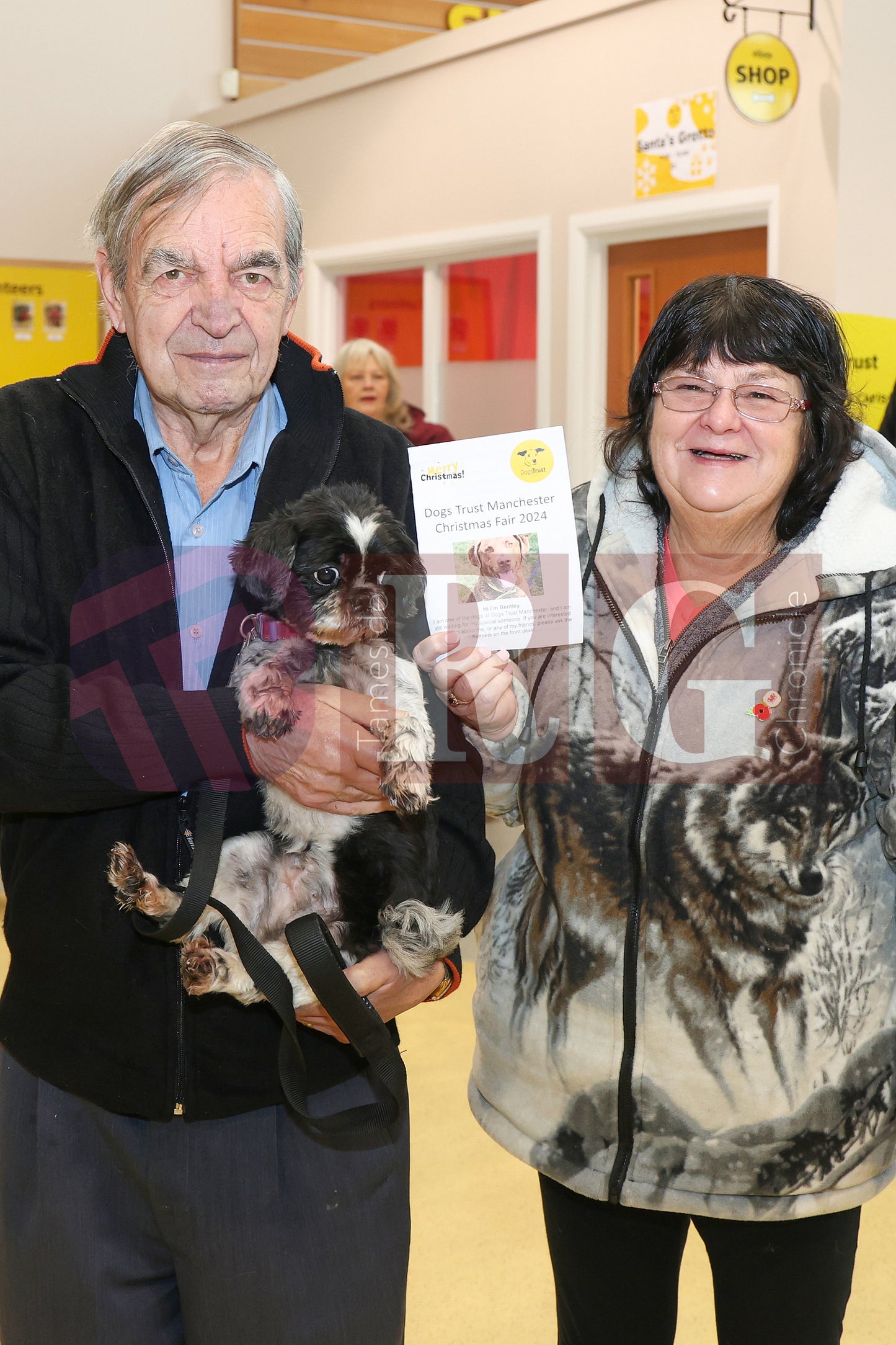 DOG TRUST DENTON XMAS (74).JPG